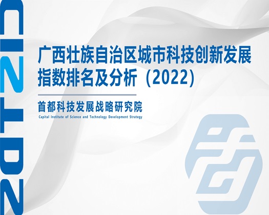 插美女逼逼免费网站观看【成果发布】广西壮族自治区城市科技创新发展指数排名及分析（2022）